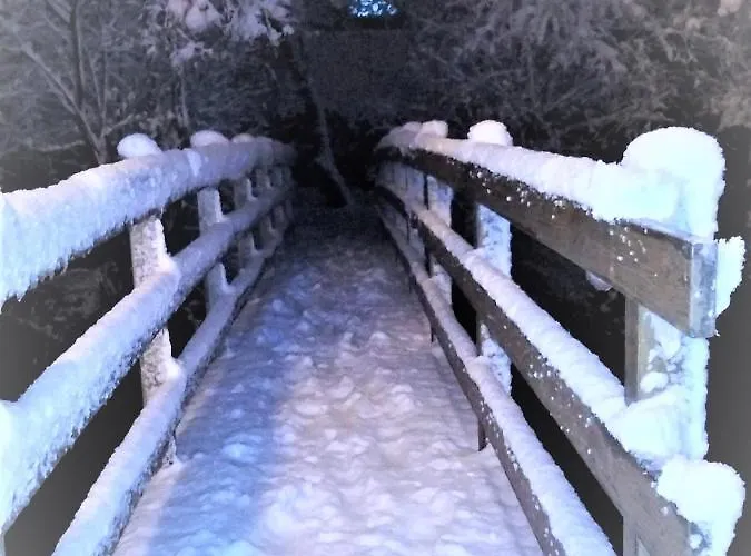 Rosalia * ビリャヌア