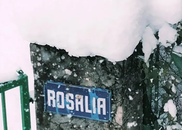 シャレー Rosalia